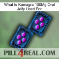 What Is Kamagra 100Mg Oral Jelly Used For 03